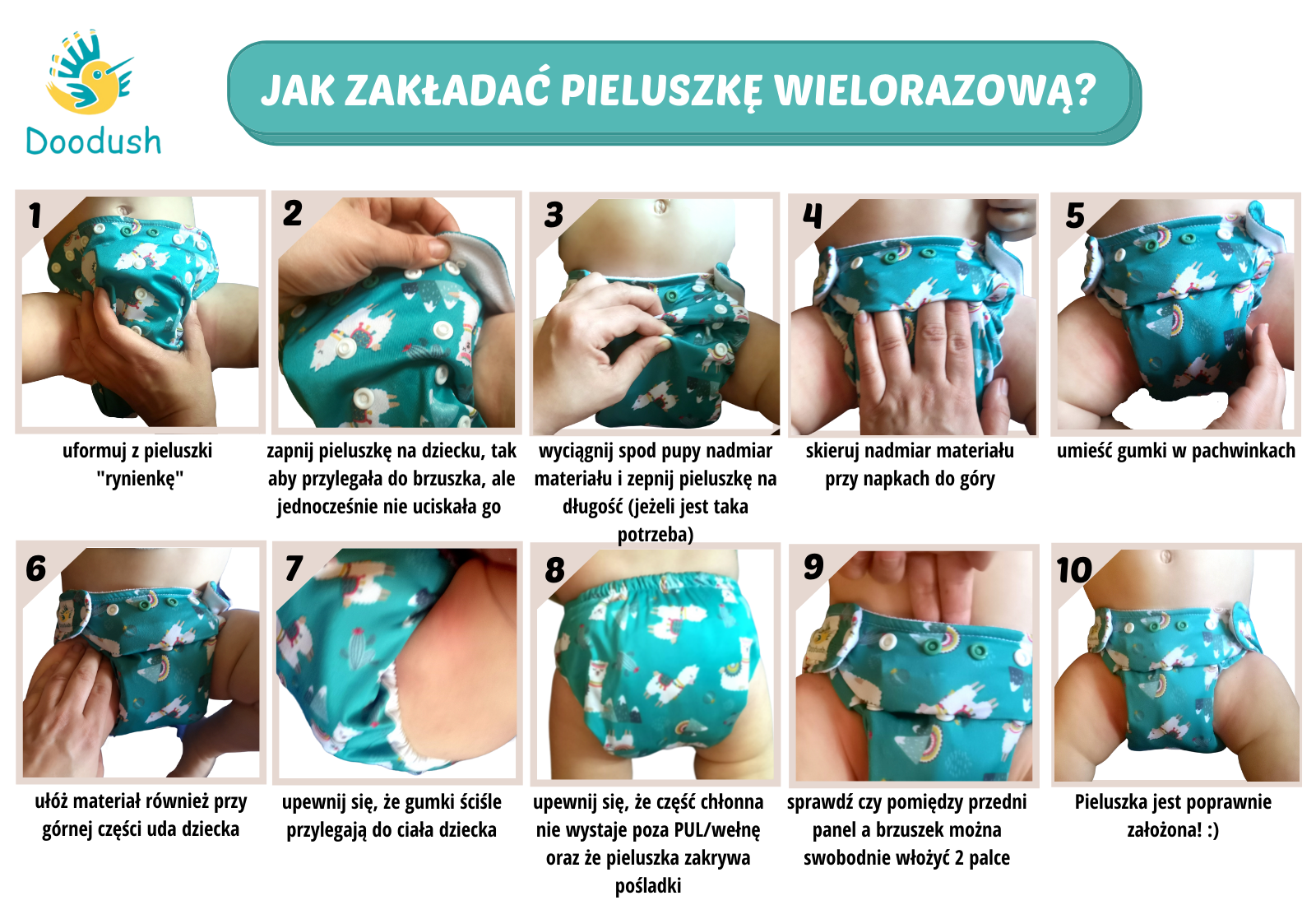 cena pampers 3 66 sztuk