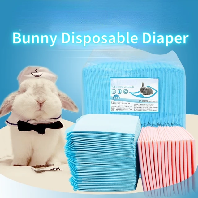 hask little baby pampers