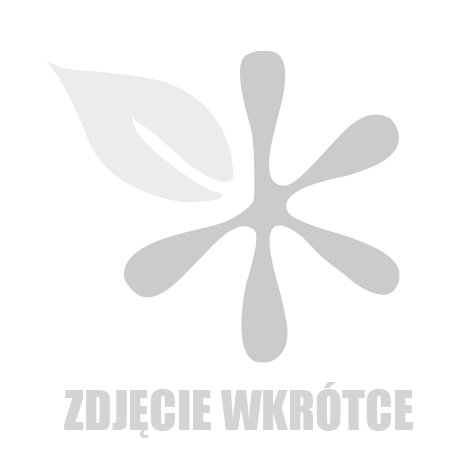 Dekoracje