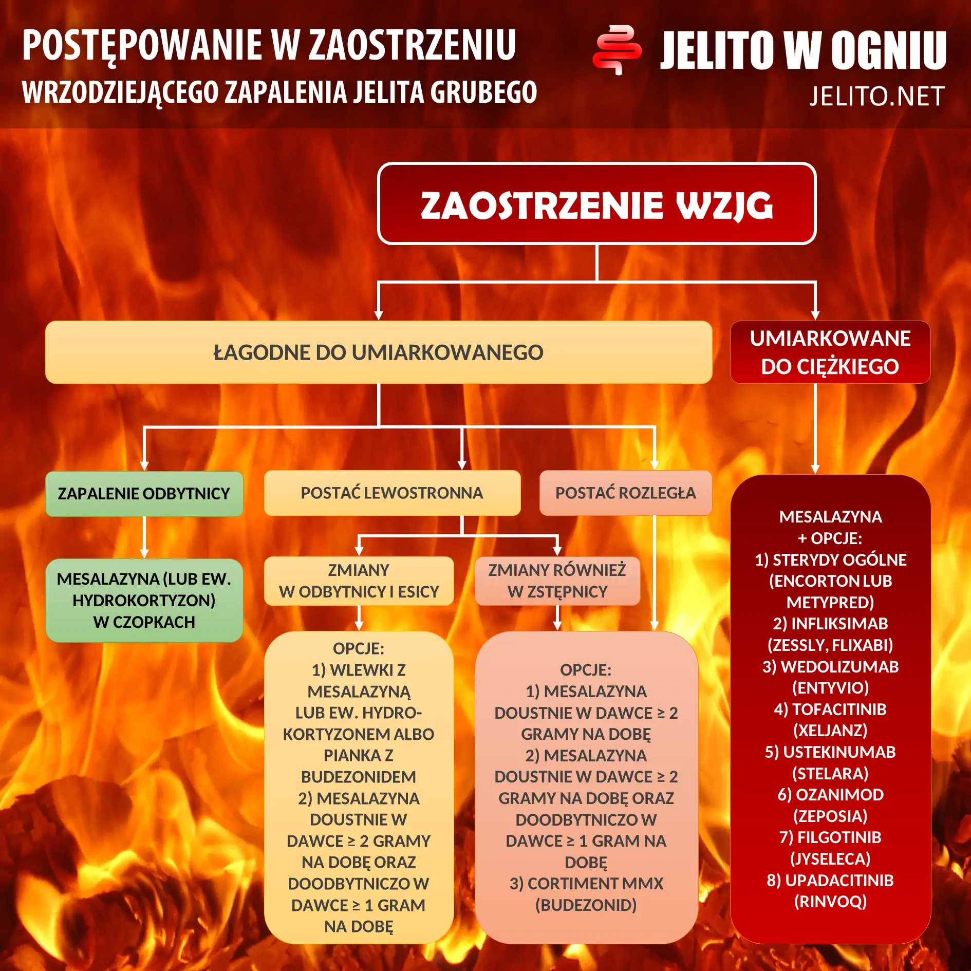 chusteczki nawilżane dla nowordkow ranking