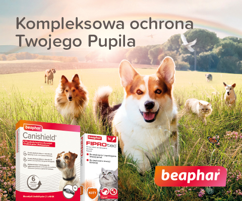 chusteczki nawilżane pampers naturally clean